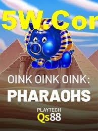 Experiência VIP Qs88